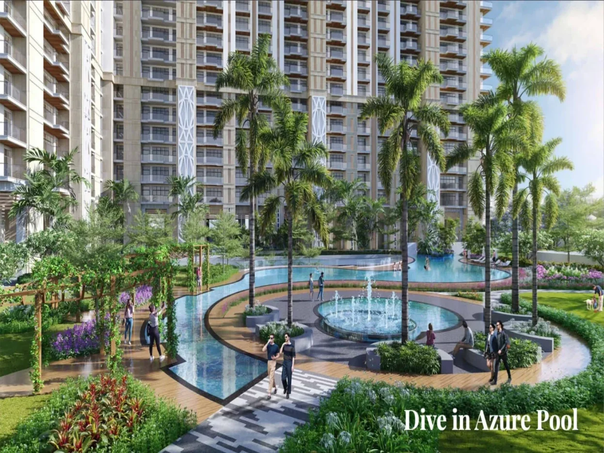 >Orris Market 89 sample flat